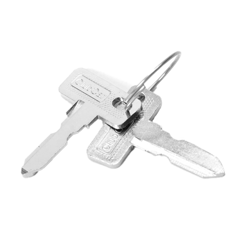 Set of 2 Keys for DS & Precedent | Fits Club Car | OEM Part #1012505