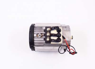 MOTOR, AC, 8 KW, W/PT1K | Fits GARIA | Part #G2110101200 OEM